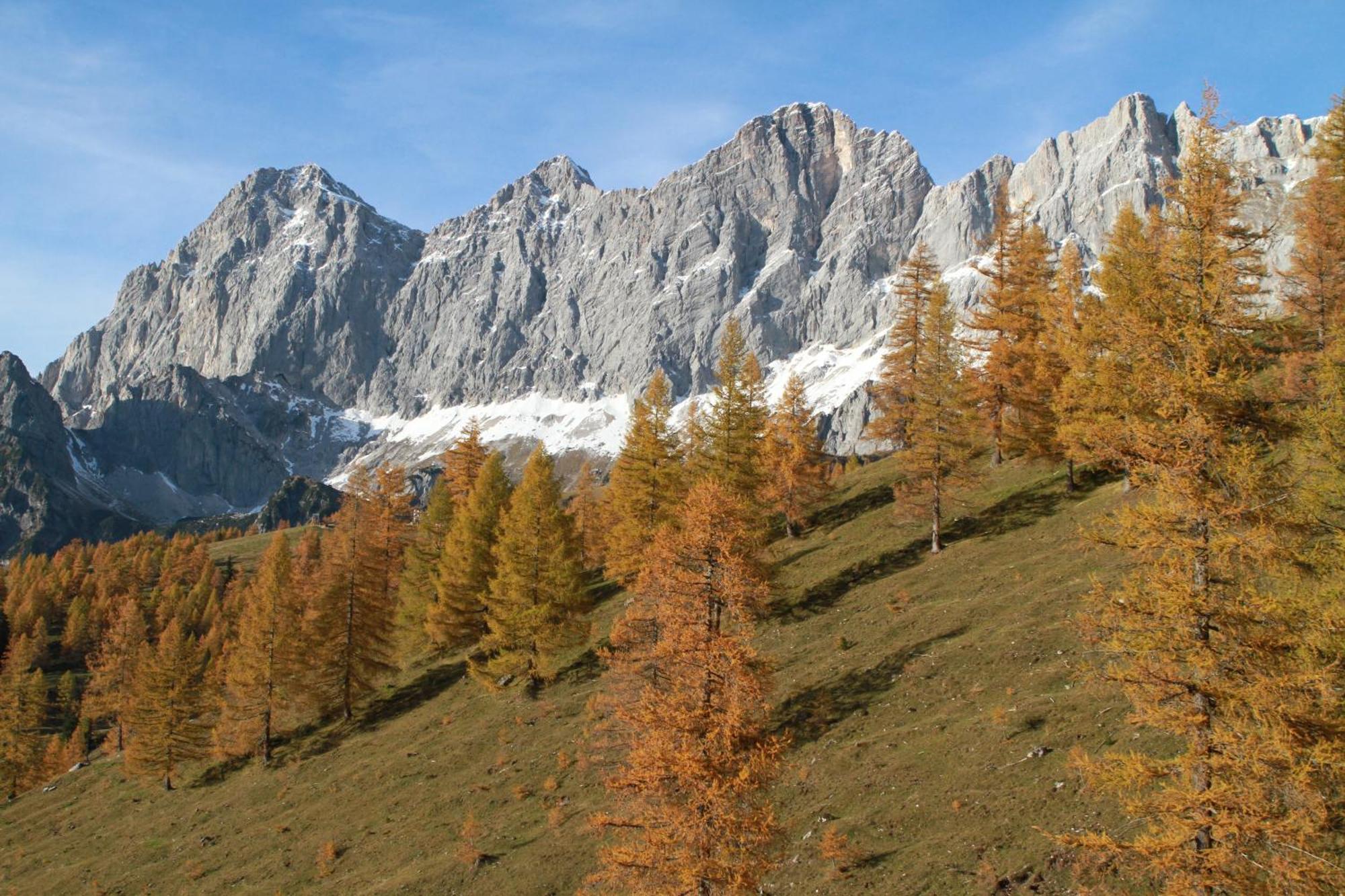 Haufhof-Pension Am Bauernhof, Haus Im Ennstal Bei Schladming Kültér fotó